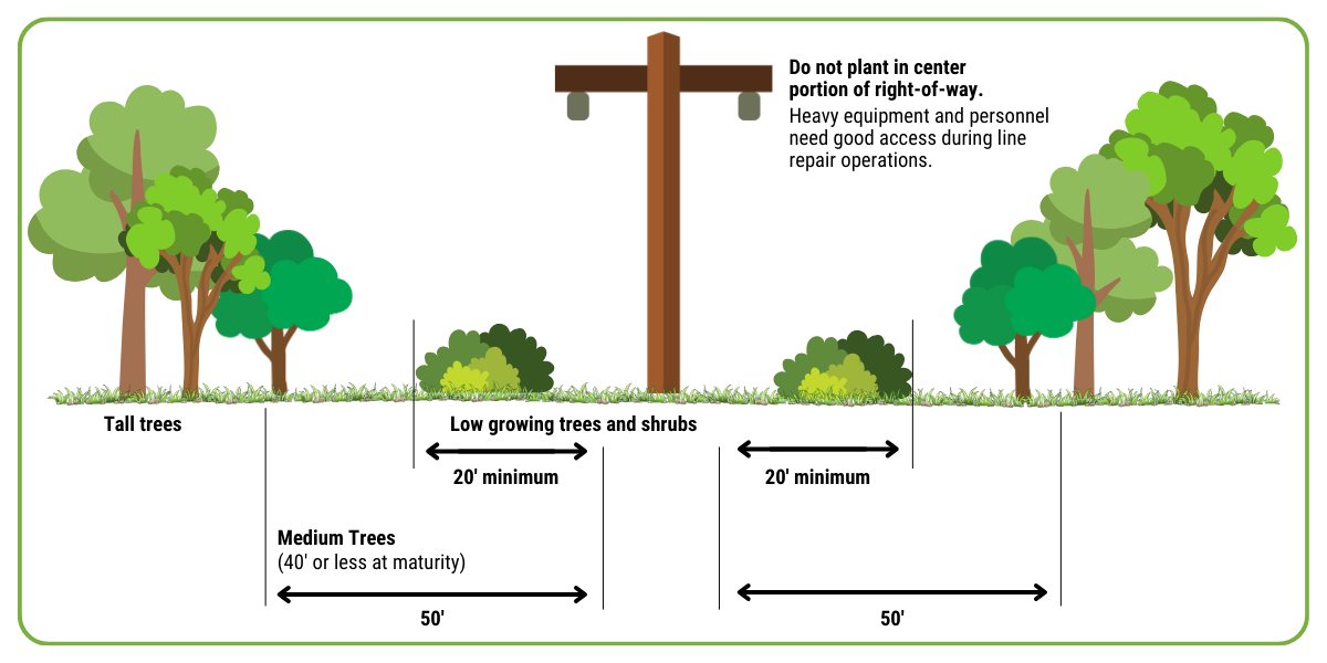 graphic showing how far away from power lines to plant trees