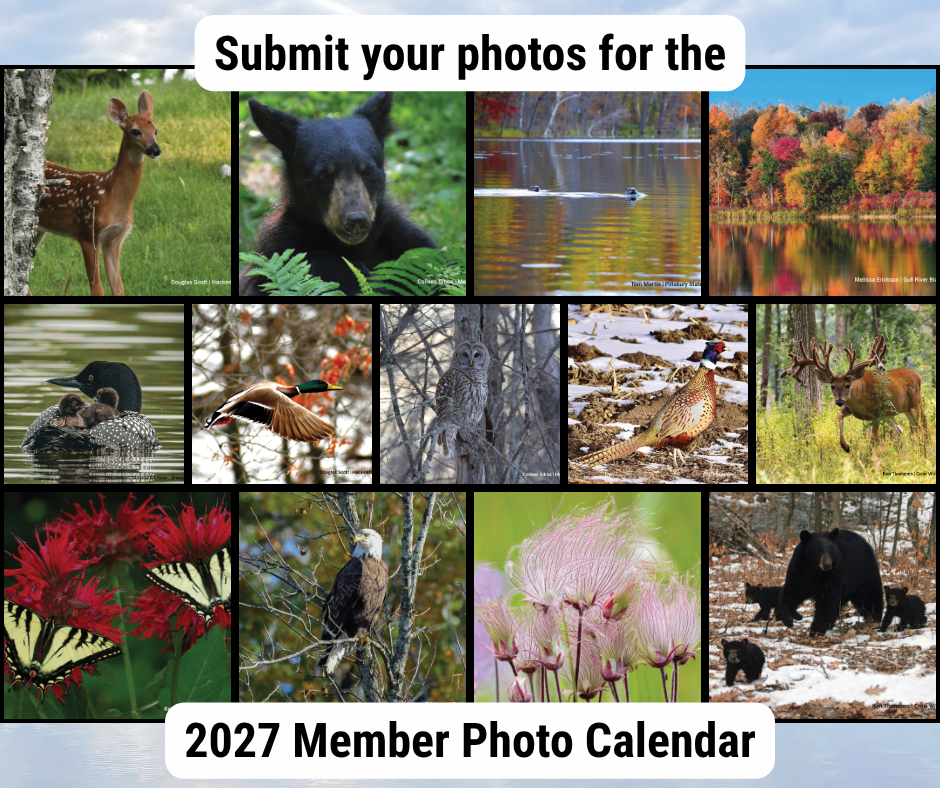 2027 member photo calendar collage graphic
