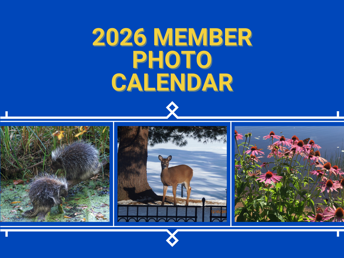 2026 member photo calendar graphic